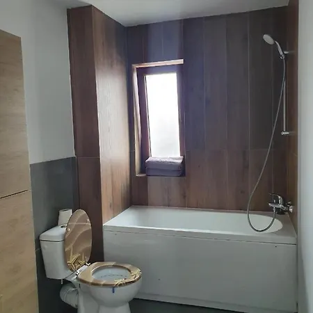 Apartment Iris Vivo Mall 2 Cluj-Napoca